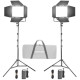 Набір LED панелей Godox Litemons LP400R RGB