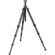 Штатив Gitzo GT3542 Mountaineer Series 3 із вуглецевого волокна