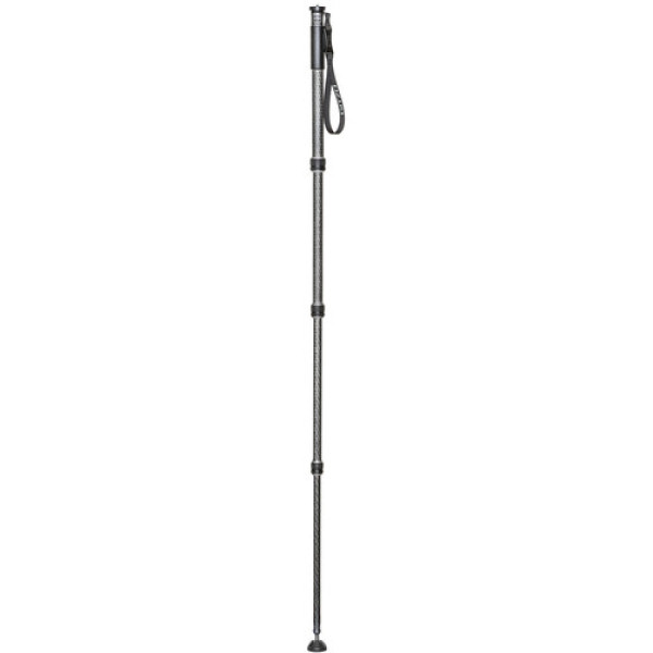 Монопод Gitzo GM2542 Series 2 із вуглецевого волокна