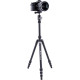 Штатив Vanguard Vesta TB 204AB (Vesta TB 204AB)