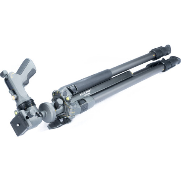 Штатив Vanguard Alta Pro 2+ 263AGH (Alta Pro 2+ 263AGH)