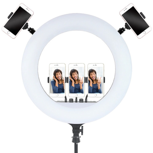 Кольцевая лампа 54см LED RL-21 со штативом 160см AC Prof