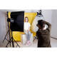 Паперове тло Colorama 2.72 x 11м Dandelion