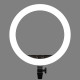 LED-панель кольцевая Godox LR150 B Bi-Color