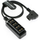 Кабелі Alvin's D-tap Кабель-розгалужувач D-tap Male to 4 Port Dtap Female