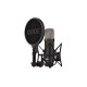 Микрофон Rode NT1 Signature Black (235762)