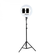 Кольцевая лампа 36см LED RL-14 со штативом 210см AC Prof