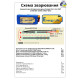 Акумуляторна батарея 2S4P Energy Life 19400мАч Samsung SDI 21700-50G Li-Ion 12AWG XT60-F