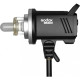 Набір студійний GODOX MS300-F (MS300-2, софт.60х90-2, стійка-2, радіо, сумка)