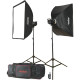 Набір студійний GODOX MS300-F (MS300-2, софт.60х90-2, стійка-2, радіо, сумка)