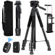 Штатив K&F Concept S254A3 + BV01 173 см Black (KF09.154)