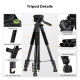 Штатив K&F Concept S254A3 + BV01 173 см Black (KF09.154)