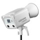 Видеосвет Godox Litemons LA300Bi с сумкой