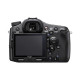 Фотокамера зеркальная зеркальная Sony Alpha 77M2 body black