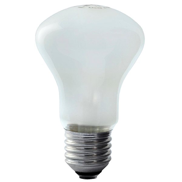 Пилотная лампа Elinchrom D-Lite 100W/196V E27