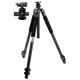 Штатив Giottos VGRN9224 Black + Кульова голова MH5310-630