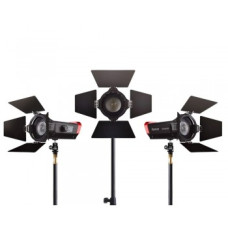 Набор LED прожекторов Aputure Light Storm LS-Mini 20 Flight Kit (ddc)