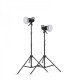 Комплект Відео Світла Godox SL100D KIT з софтбоксами та сумкою (SL100D-2, софт.60х90-2, пульт д.к.RC-A6-1, стійка-2, CB04)