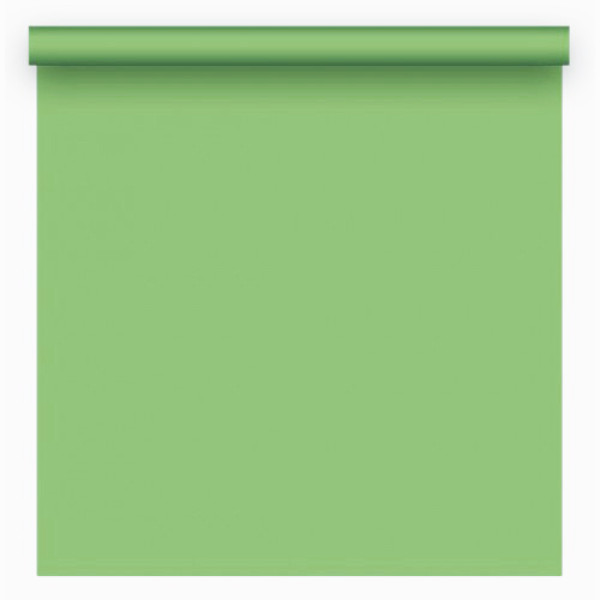 Паперовий 2,72х11,0 м Зелений (Spring Green)