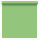 Паперовий 2,72х11,0 м Зелений (Spring Green)