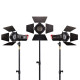 Набір LED прожекторів Aputure Light Storm LS-mini 20 flight kit (ddd)