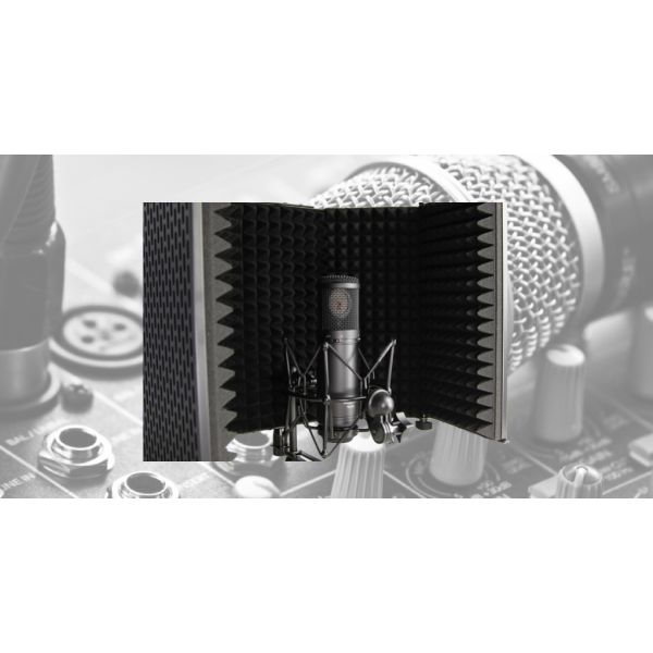Фільтр акустичного контролю TASCAM TM-AR1