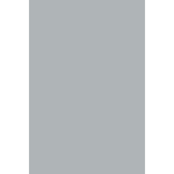 Фон Savage Widetone Slate Gray 2.18mx 11m