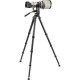Жидкостная головка Gitzo Gimbal