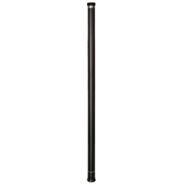 Монопод 3м Insta360 Extended Selfie Stick for ONE R/X/X2 (DINEESS/A)