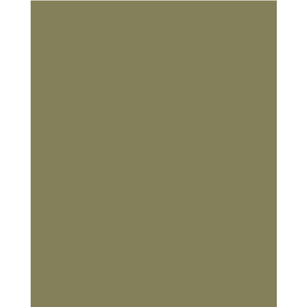 Папір фон Savage Widetone Olive Green рулон 1.36 x 11 м
