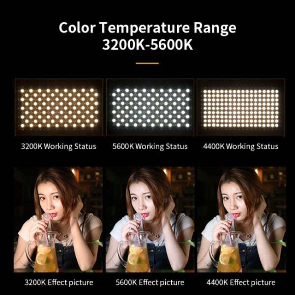 Постоянный свет AccPro E800 RGB