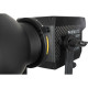 Постоянный свет Nanlite Forza 300B Bi-Color