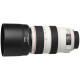 Объектив Canon EF 70-300mm f/4-5.6L IS USM