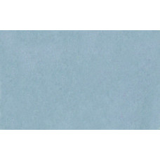 Фон паперовий Lastolite Pewter 2.75x11m (9060)