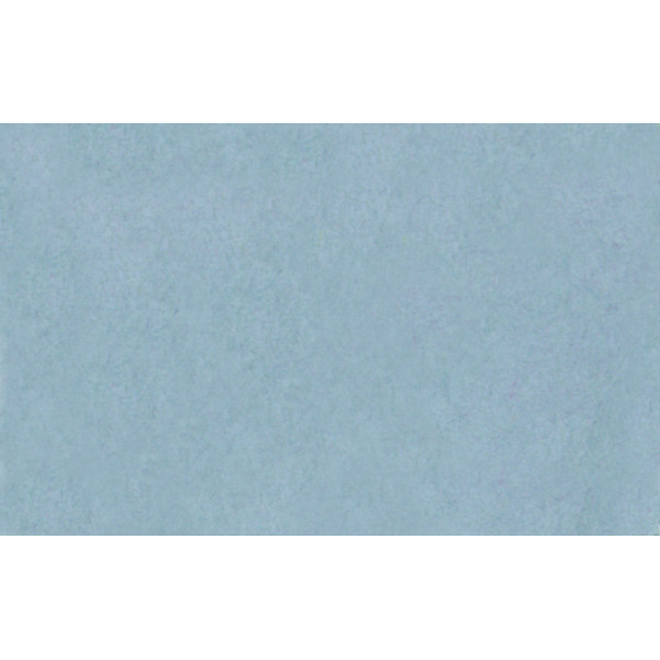 Фон паперовий Lastolite Pewter 2.75x11m (9060)