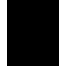 Фон вініловий Lastolite Black 2.75x6m (7765)