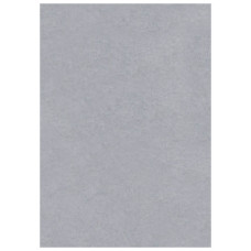 Фон вініловий Lastolite Grey 2.75x6m (7770)