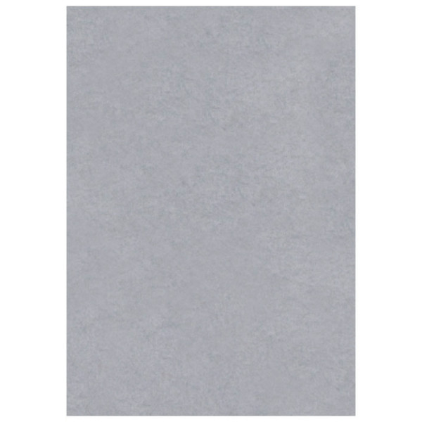 Фон вініловий Lastolite Grey 2.75x6m (7770)