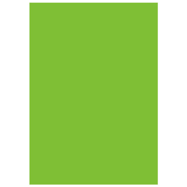 LASTOLITE Фон вініловий Chromakey Green Vinyl 2.75x6m (7781)