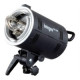 Вспышка HENSEL Integra Mini 300 (8370)