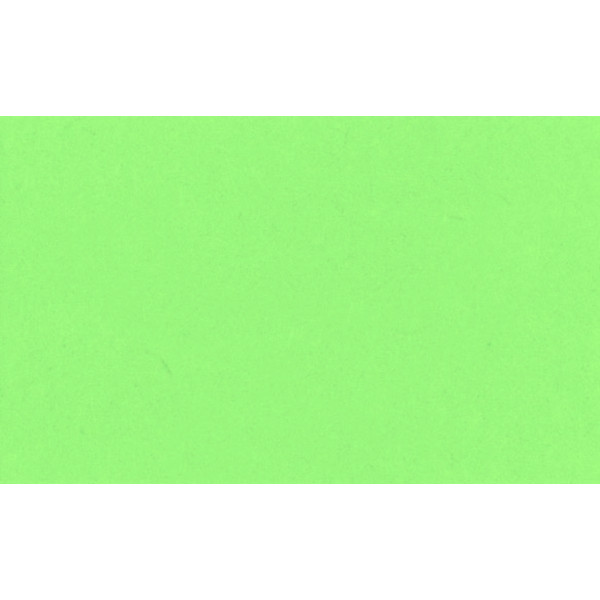 Фон паперовий BD 132A1 Veri Green 2.72 x 11m