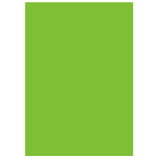 Фон вініловий Lastolite Chromakey Green Vinyl 2.75x6m (7781)