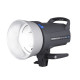Студійний спалах Elinchrom D-Lite-it 4 (400 Дж) (20484)