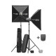 Комплект студійного світла Elinchrom D-Lite-it 4 комплект (20805)