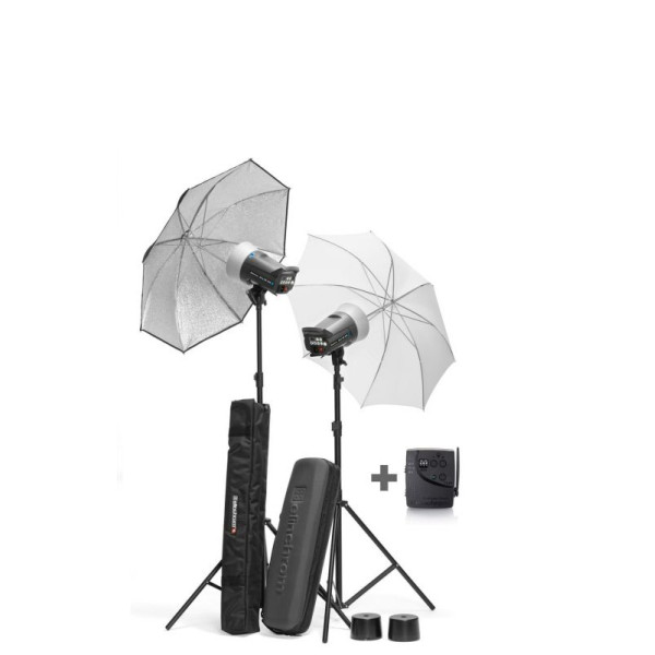 Комплект студійного світла Elinchrom D-Lite RX 2/4 комплект (20840)