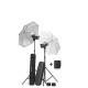Комплект студійного світла Elinchrom D-Lite RX 2/4 комплект (20840)