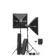 Комплект студійного світла Elinchrom D-Lite RX 4/4 (20842)