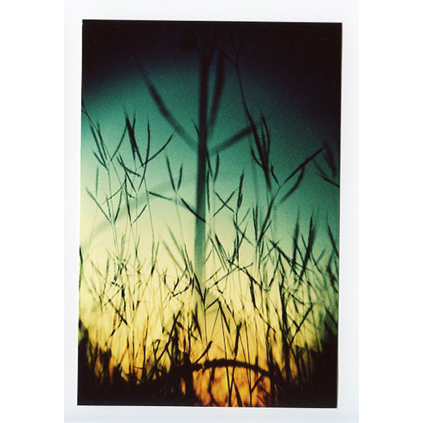 Ломо фотоапарат конструктор Recesky twin lens reflex camera 35mm