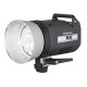 Студійний спалах Elinchrom Style 300 RX (300Дж) (20625)