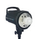 Спалах Elinchrom D-Lite RX 2 200Дж (20486)